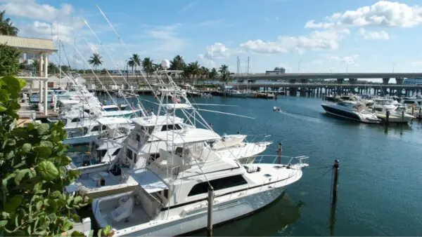 How Boat Management Software Enhances Marina Operations