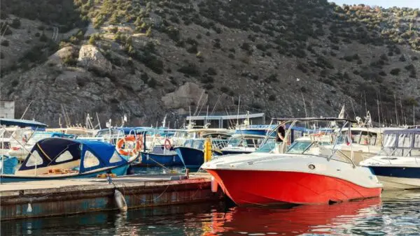 How Boat Rental Reservation Software Drives Sales